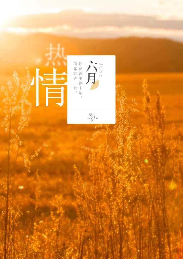 手帐封面