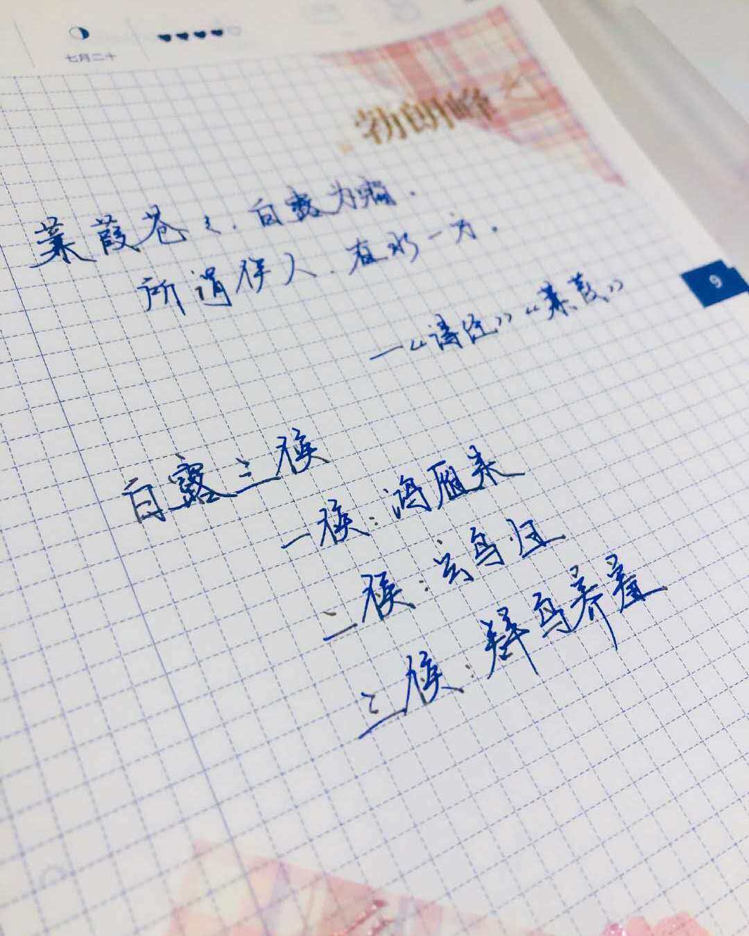 蒹葭苍苍,白露为霜