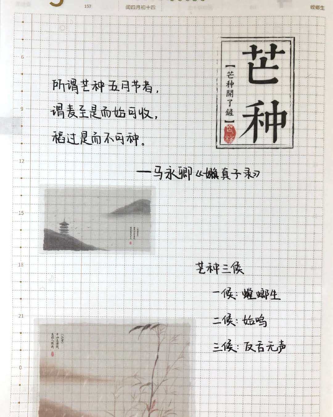 芒种|二十四节气|庚子年