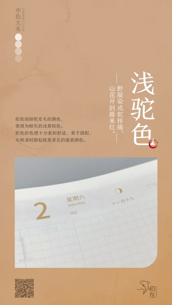 浅驼色