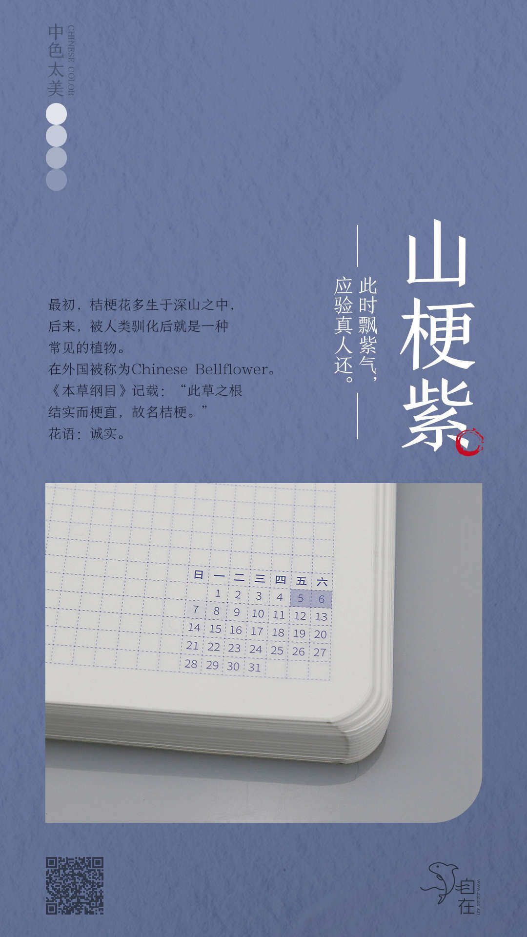 山梗紫