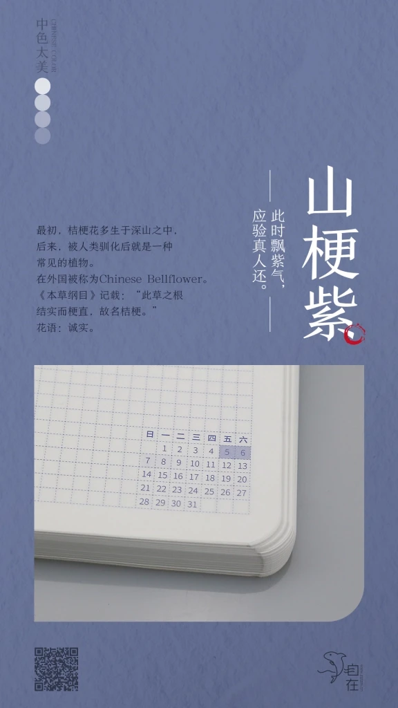 山梗紫