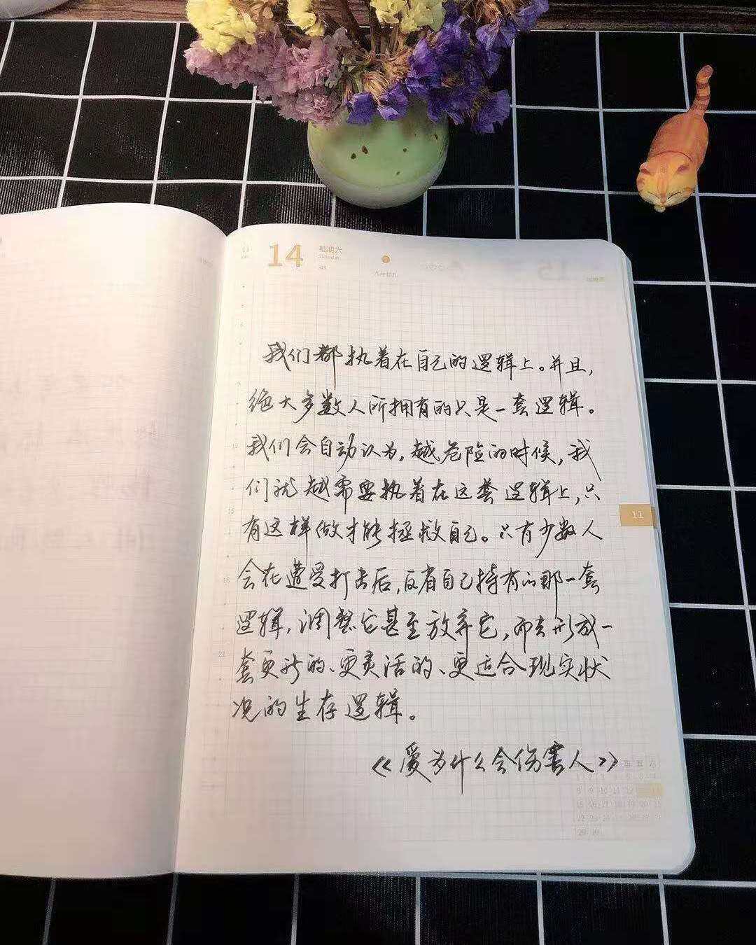 自在手帐2020年11月14日
