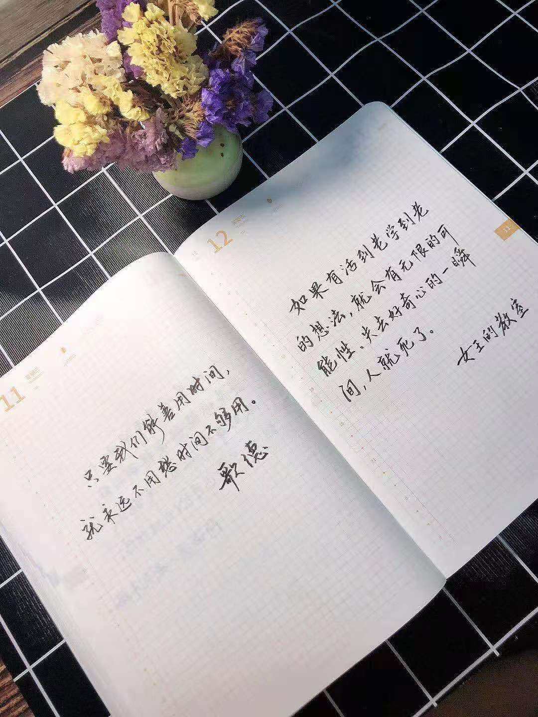 自在手帐2020年11月12日