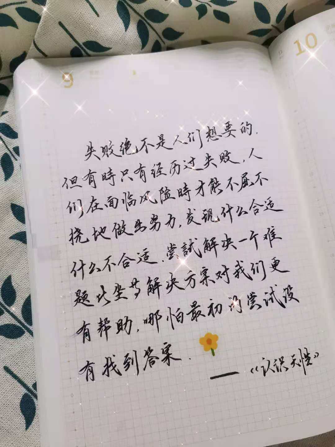 自在手帐2020年11月9日