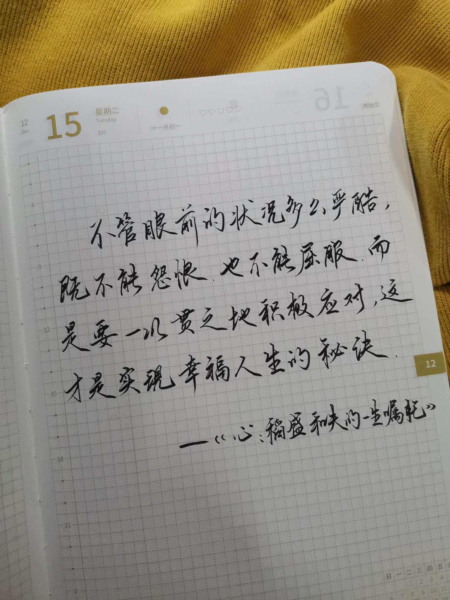 自在手帐2020年12月15日
