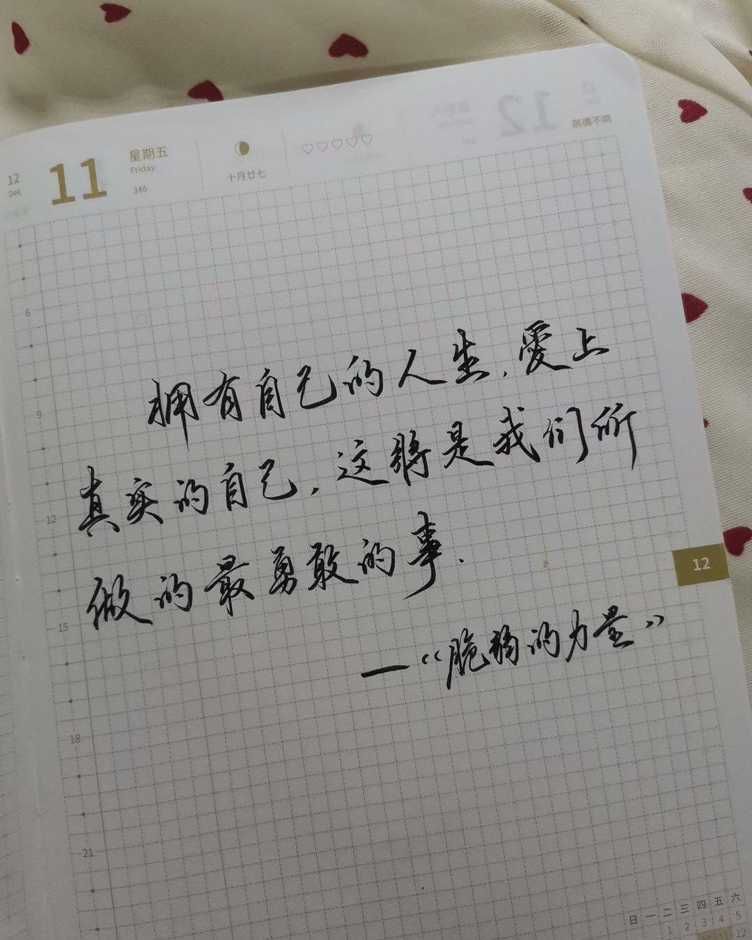 自在手帐2020年12月11日