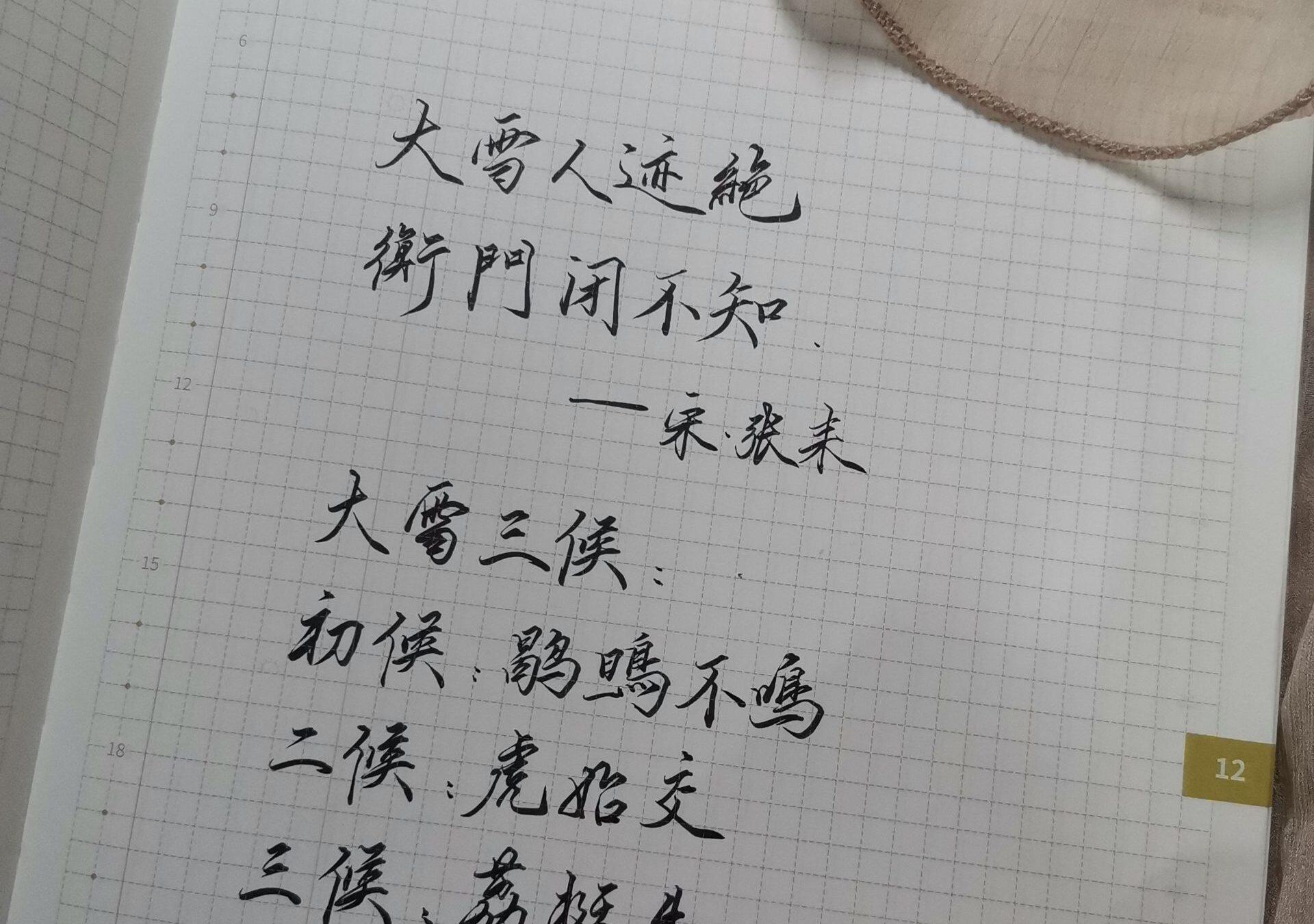 大雪|二十四节气|庚子年