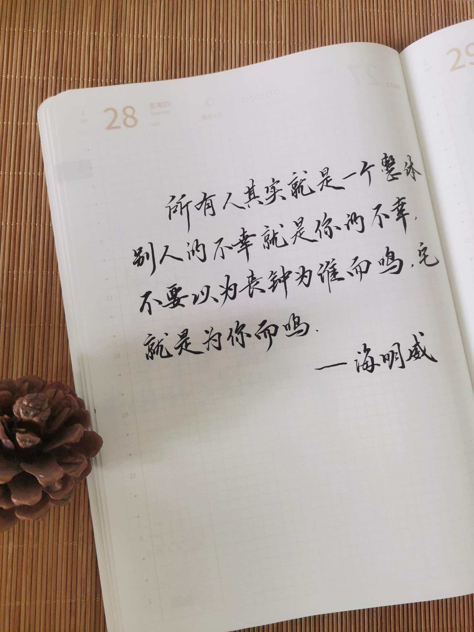 自在手帐2021年1月28日