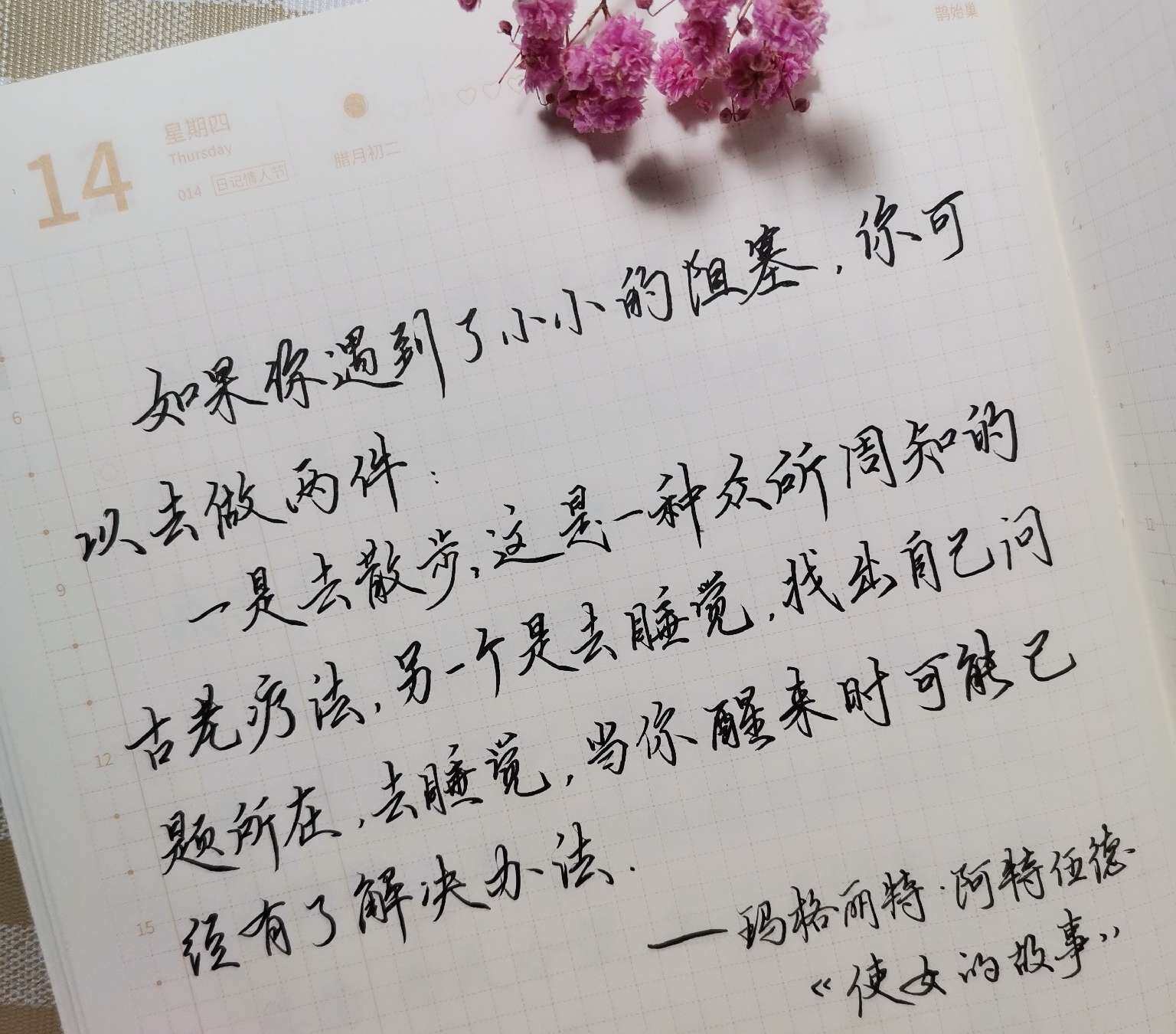 自在手帐2021年1月14日