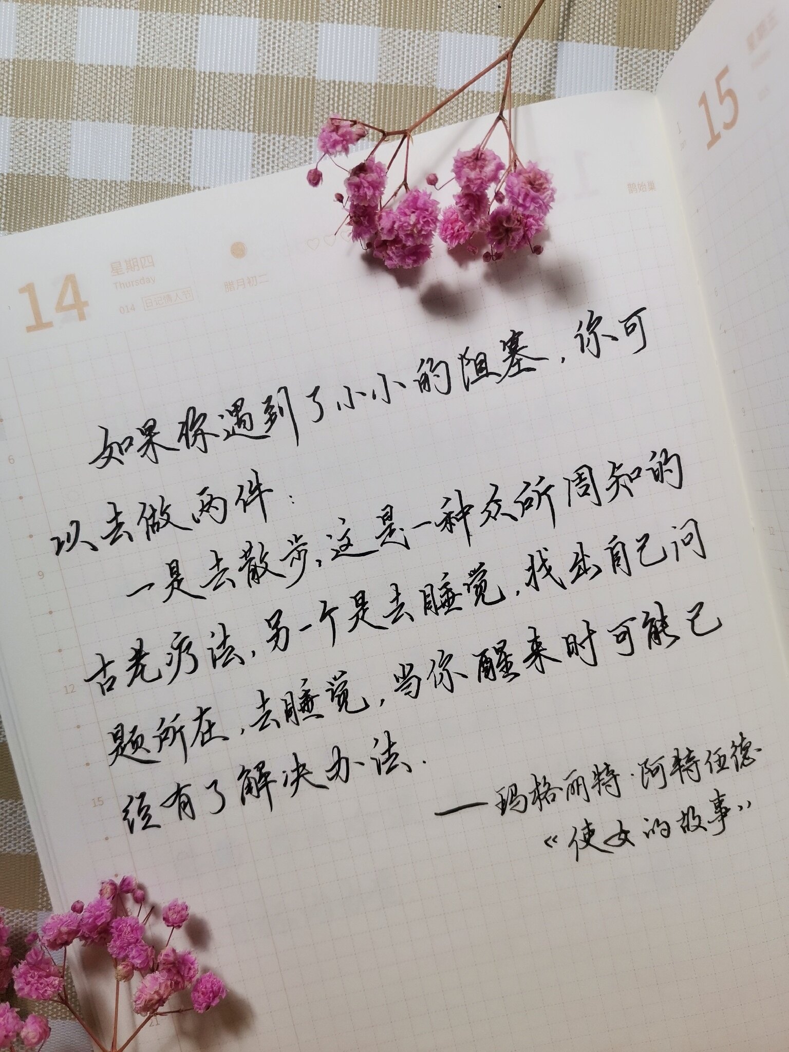 自在手帐2021年1月14日