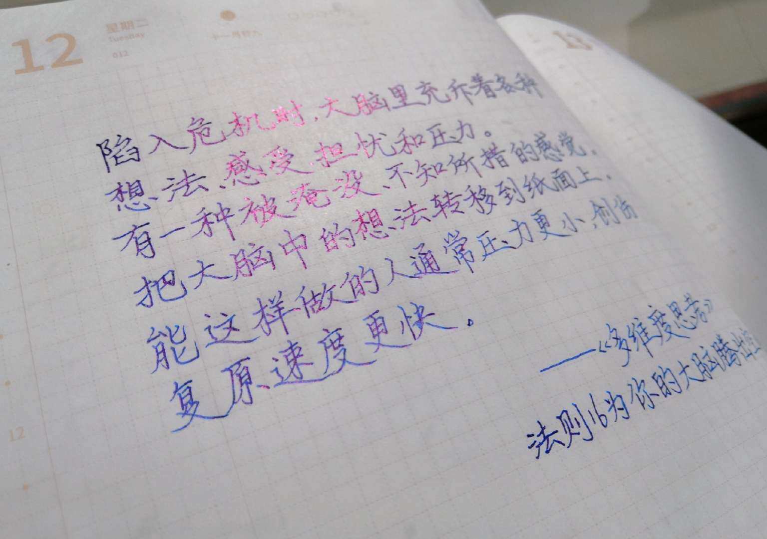 自在手帐2021年1月2日