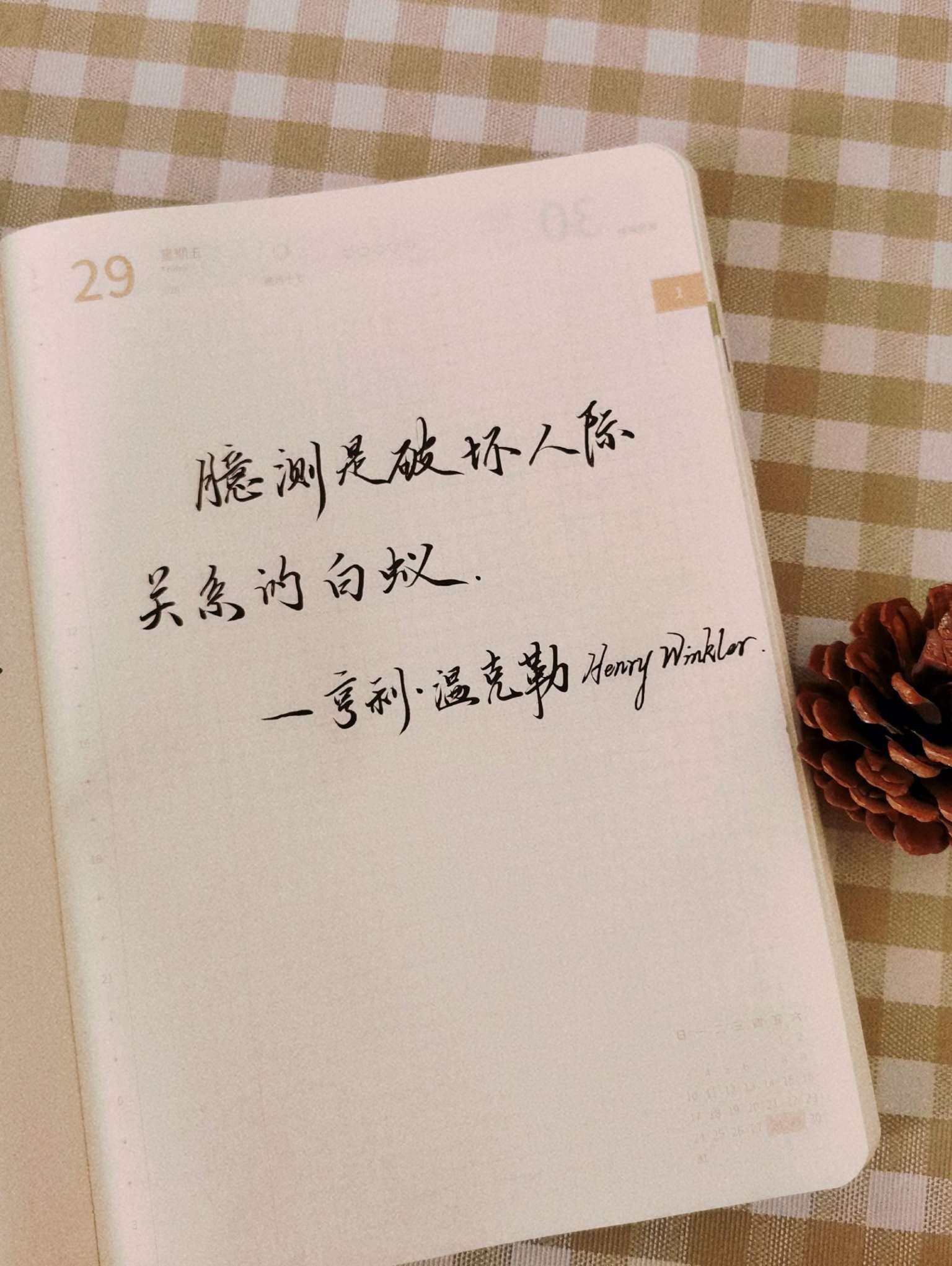 自在手帐2021年1月29日
