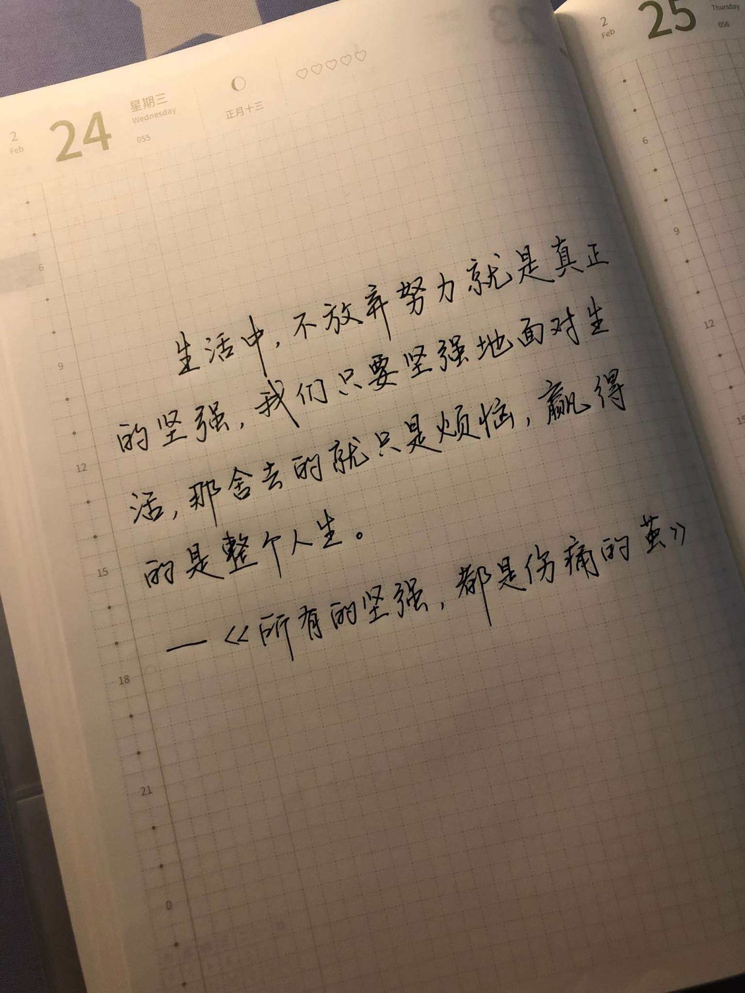 自在手帐2021年2月24日