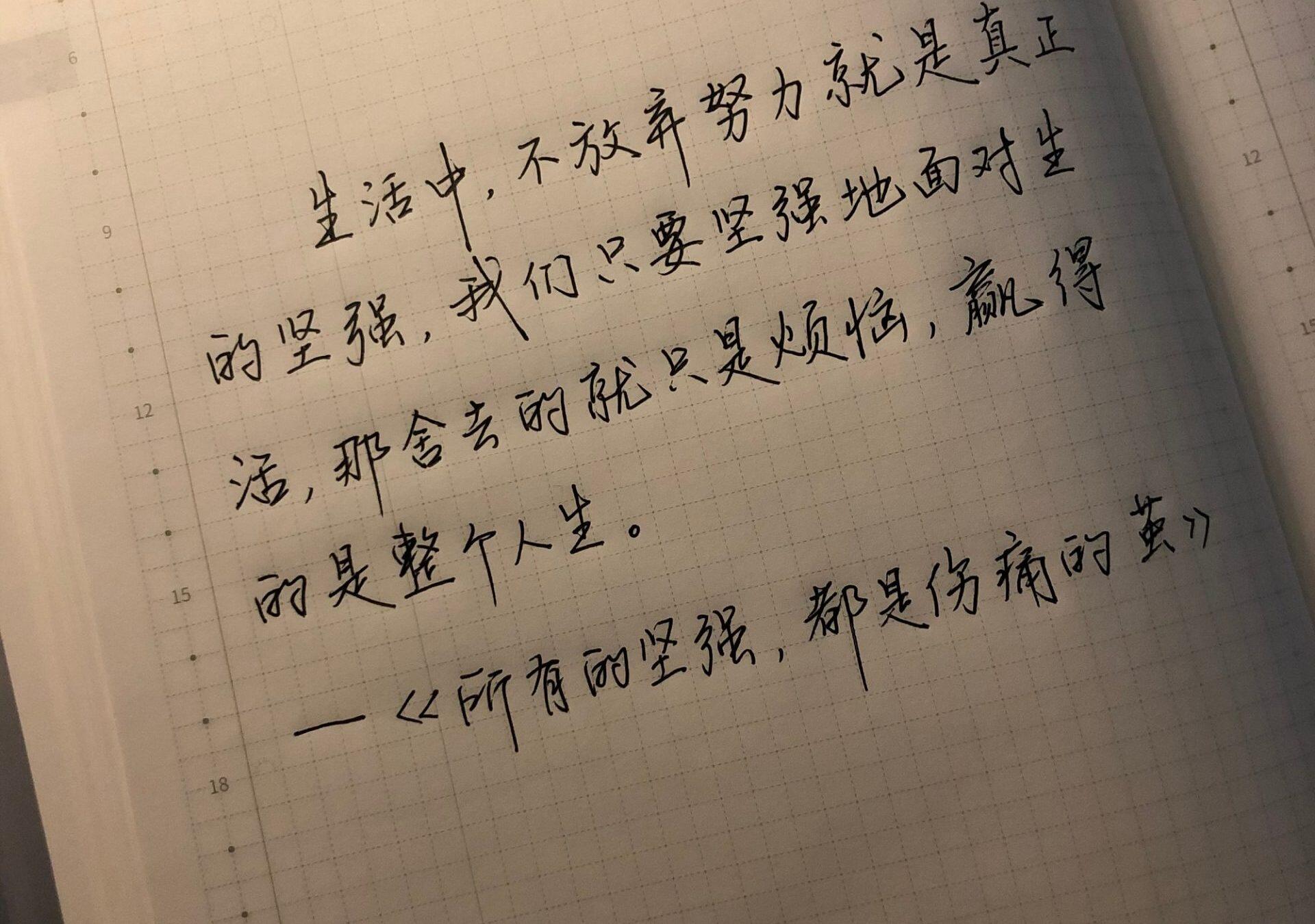 自在手帐2021年2月24日