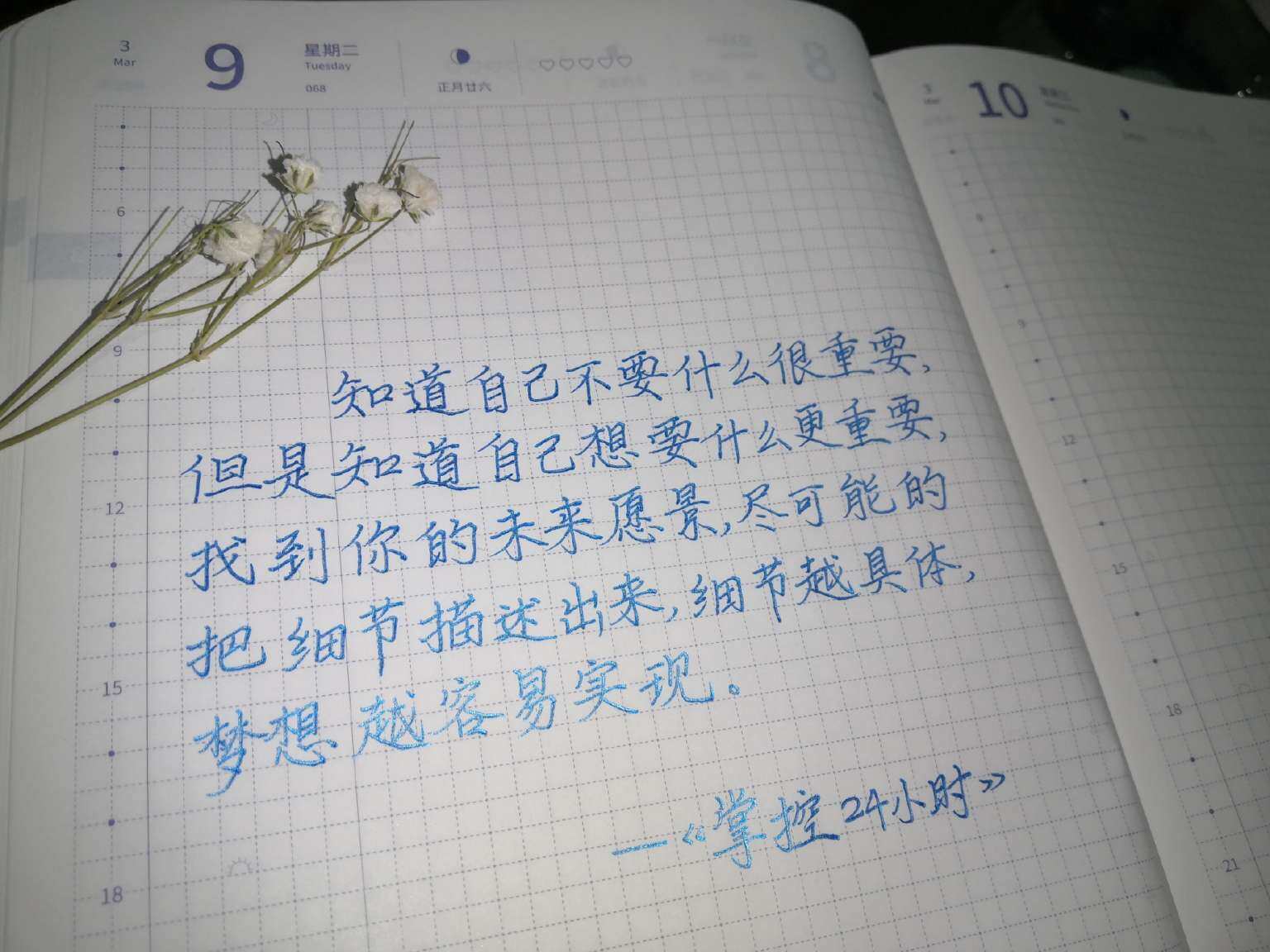 自在手帐2021年3月9日