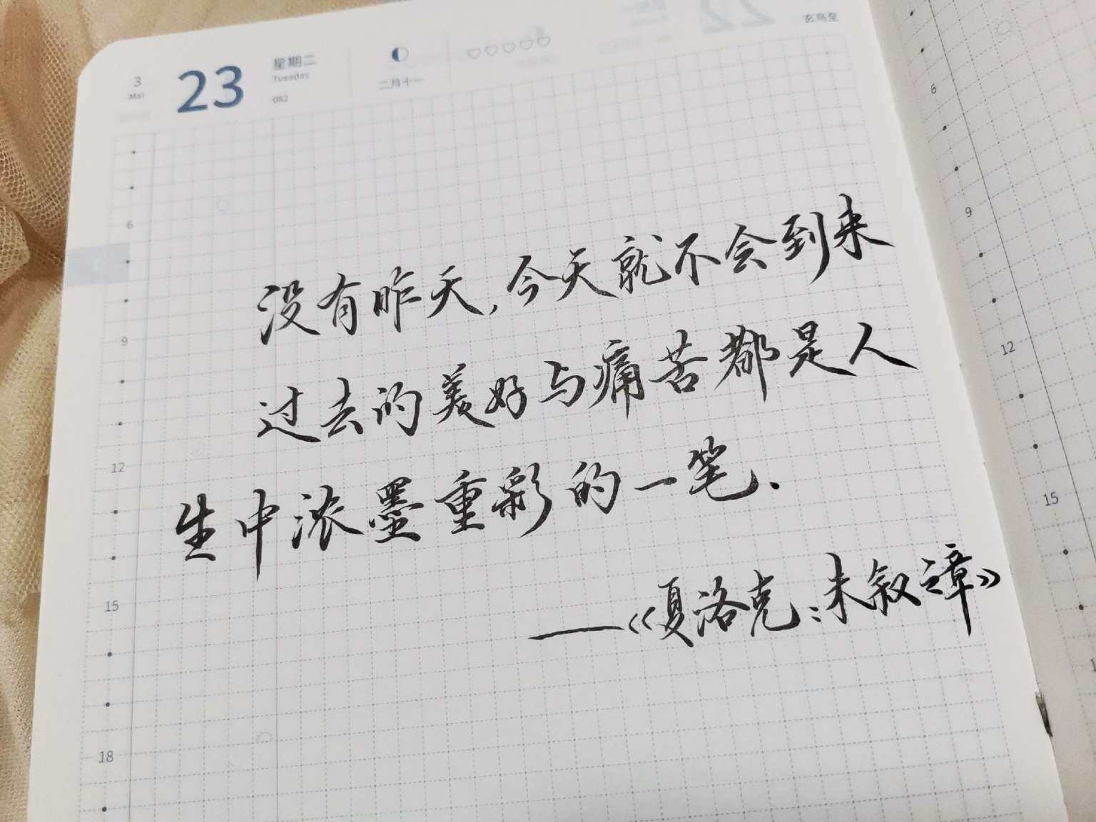 自在手帐2021年3月23日
