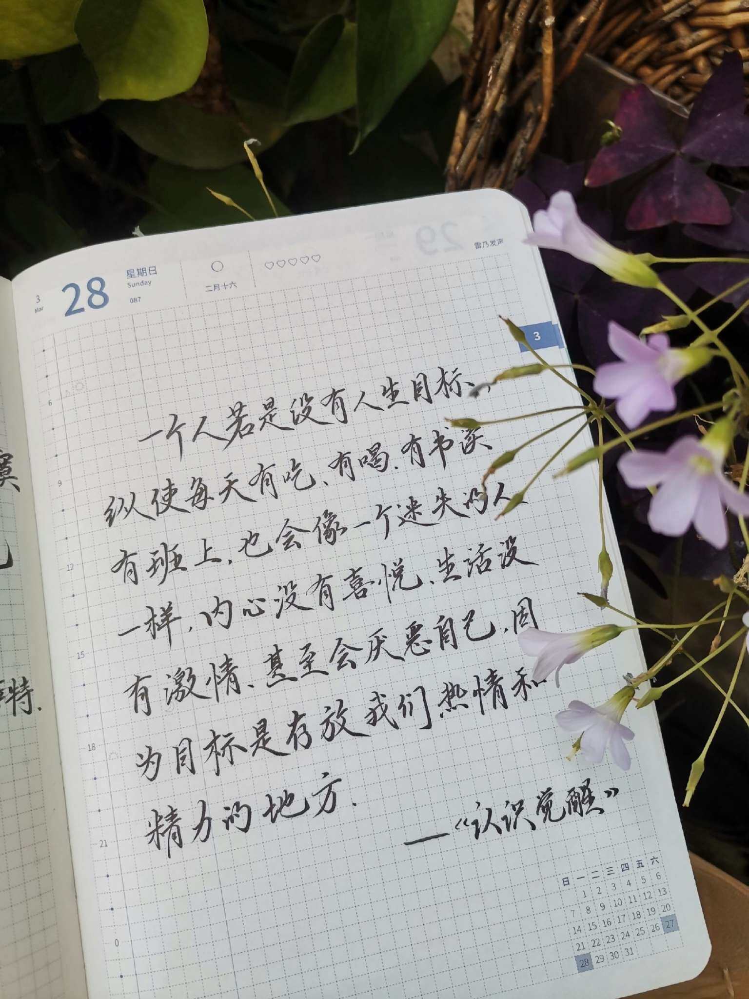 自在手帐2021年3月28日
