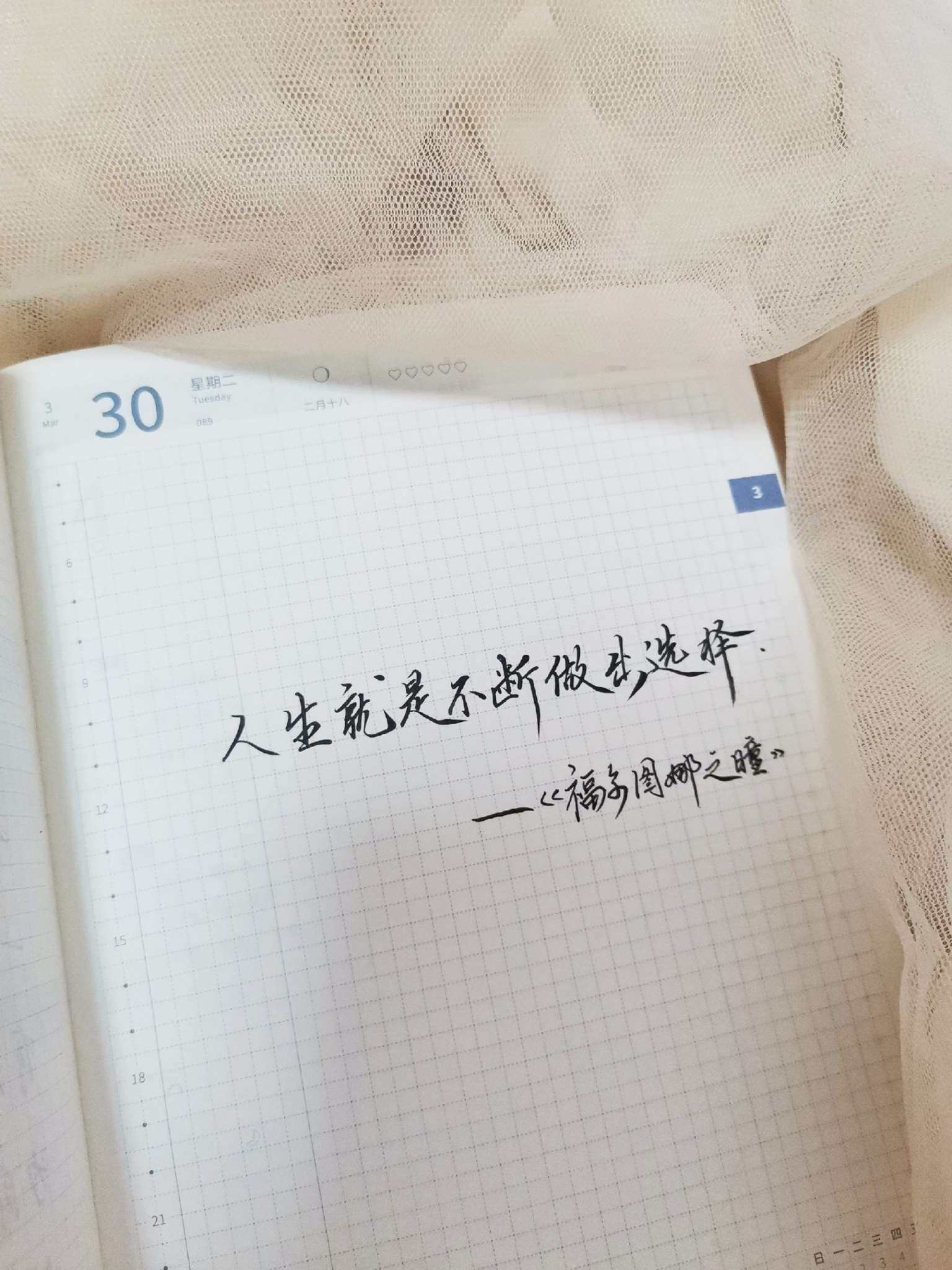自在手帐2021年3月30日