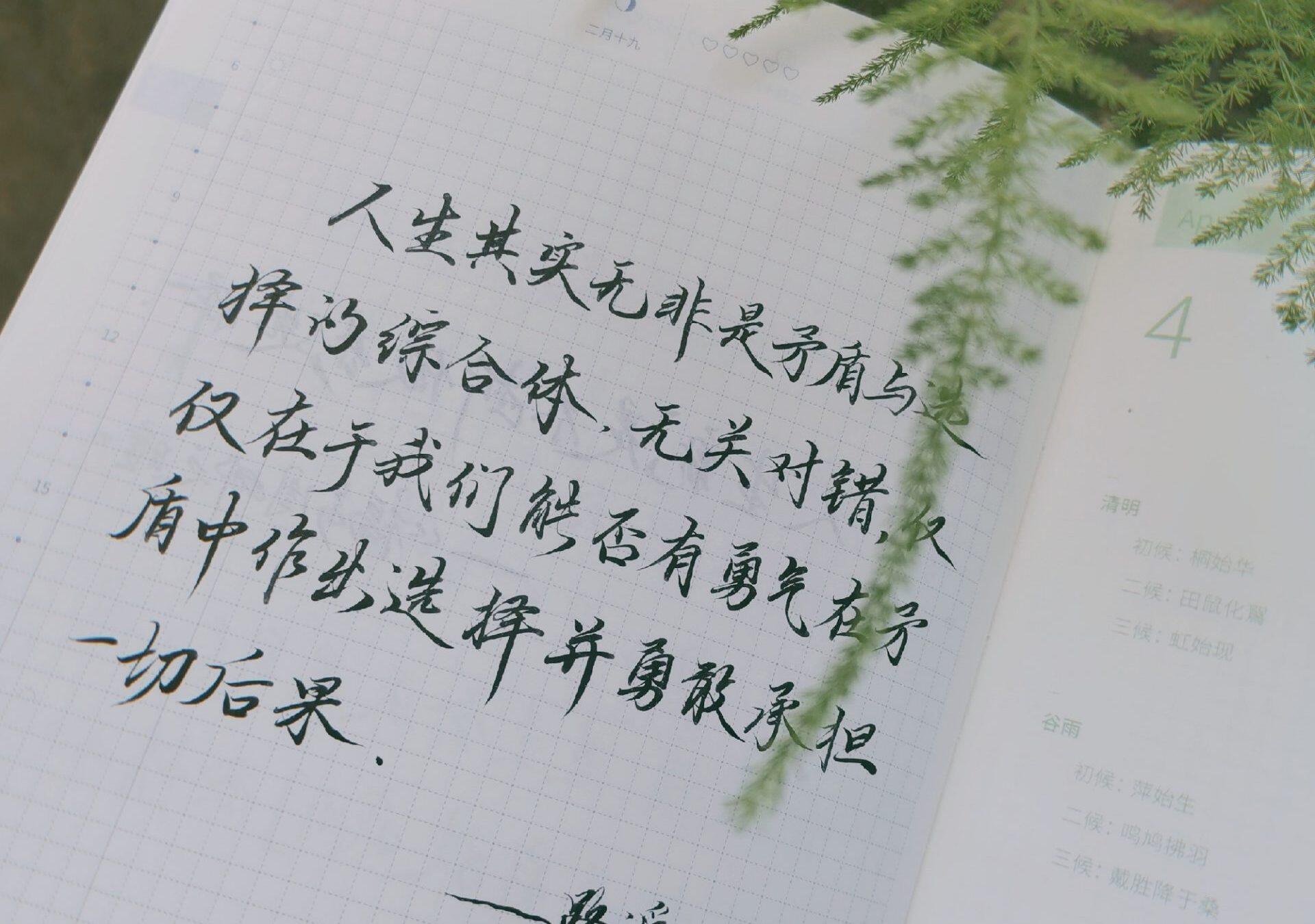 矛盾与选择的综合体