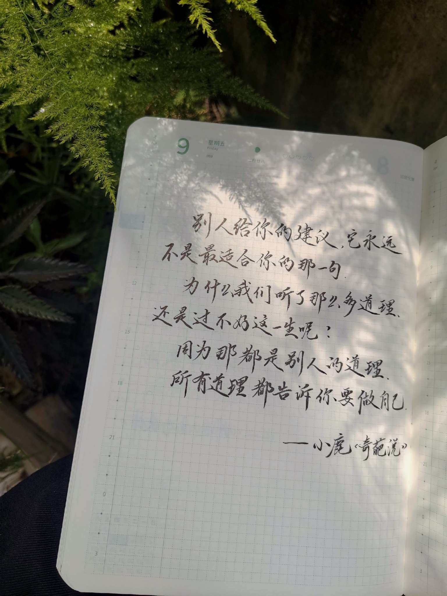 自在手帐2021年4月9日