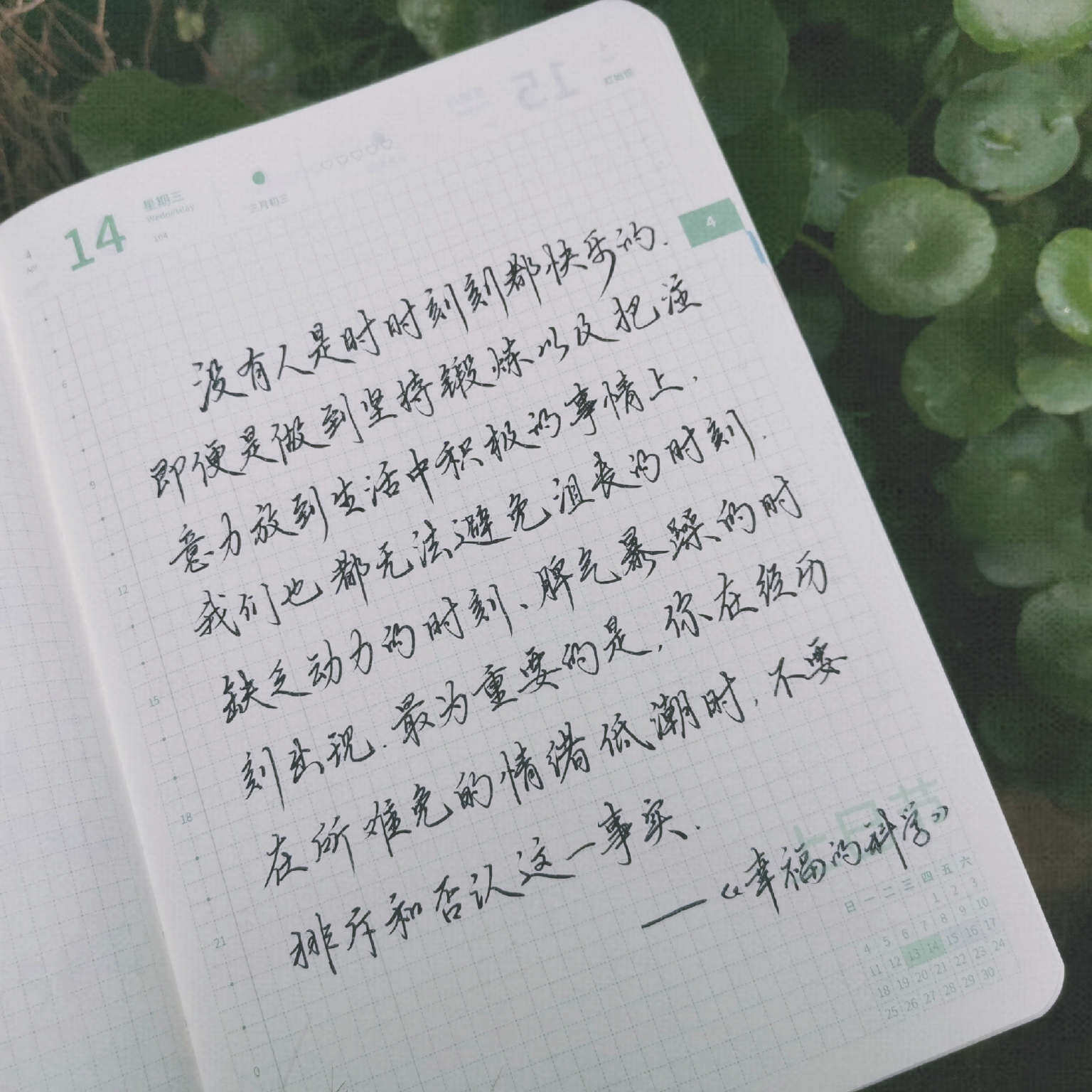 自在手帐2021年4月14日