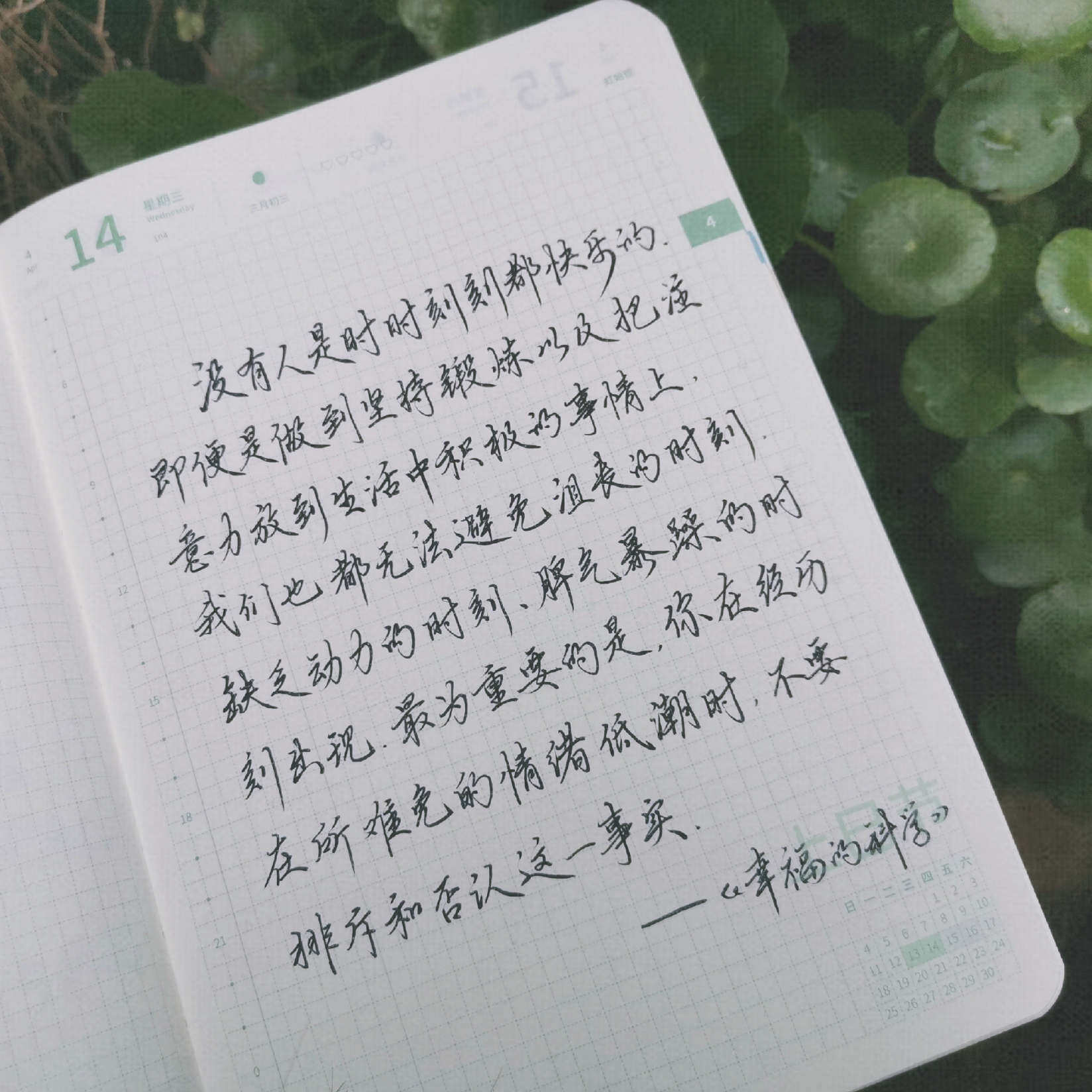 自在手帐2021年4月14日