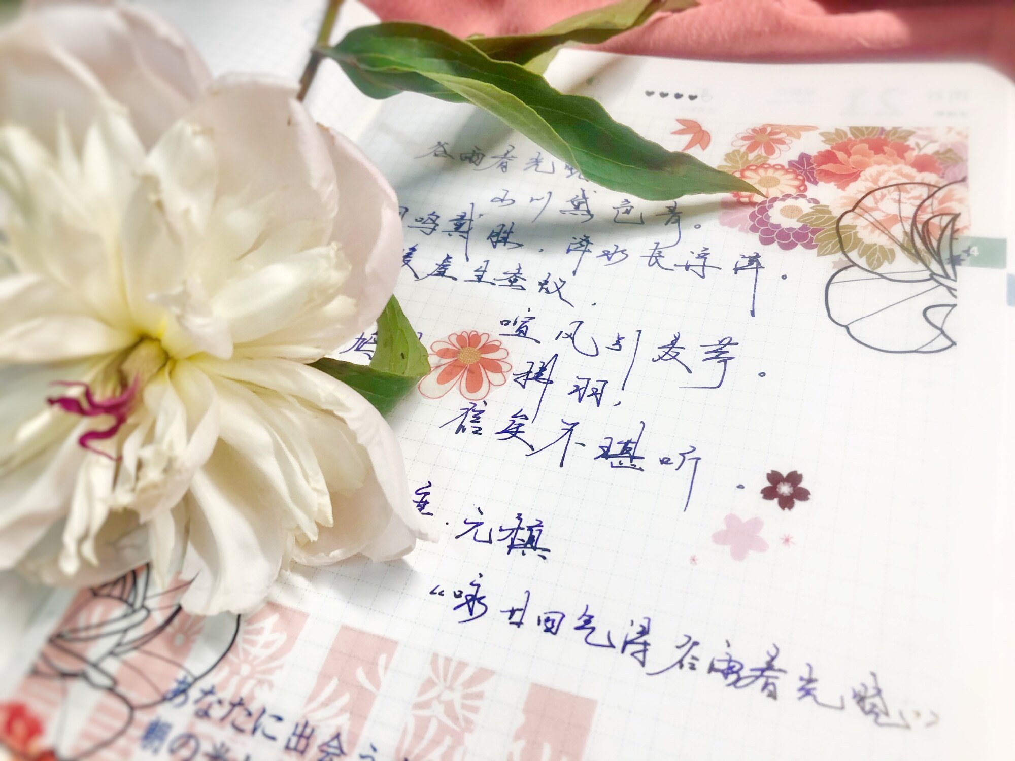 自在手帐2021年4月20日