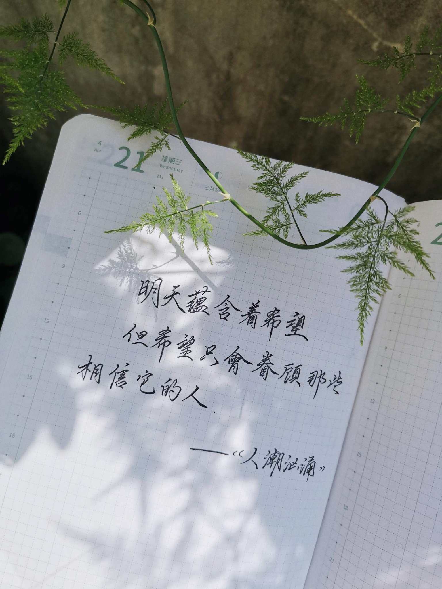 自在手帐2021年4月21日