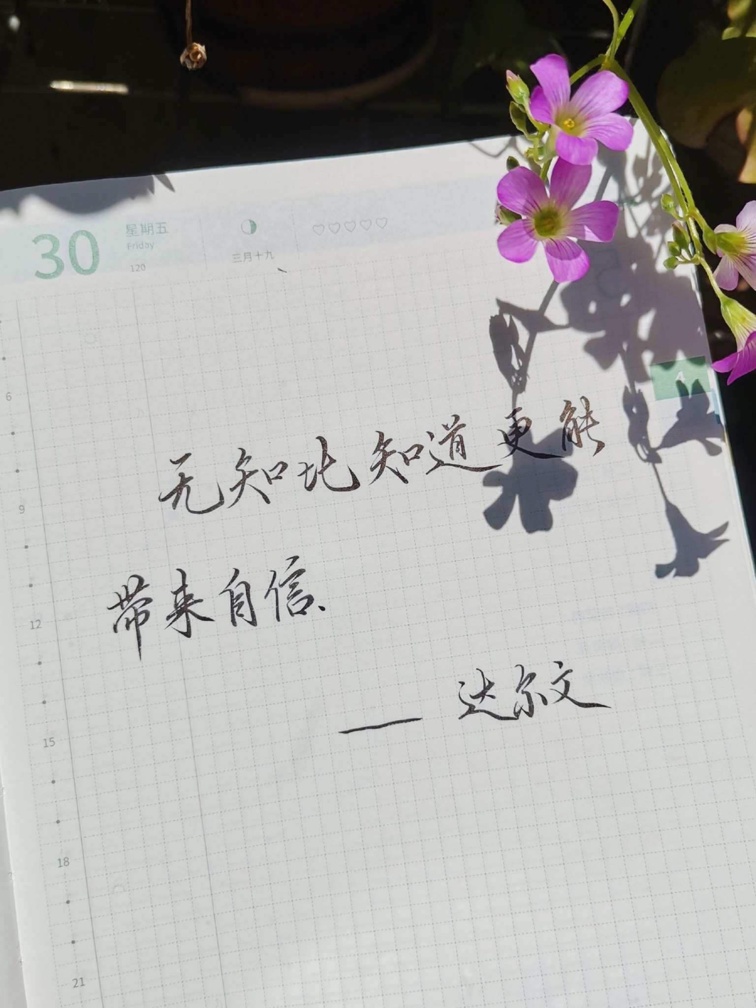自在手帐2021年4月30日