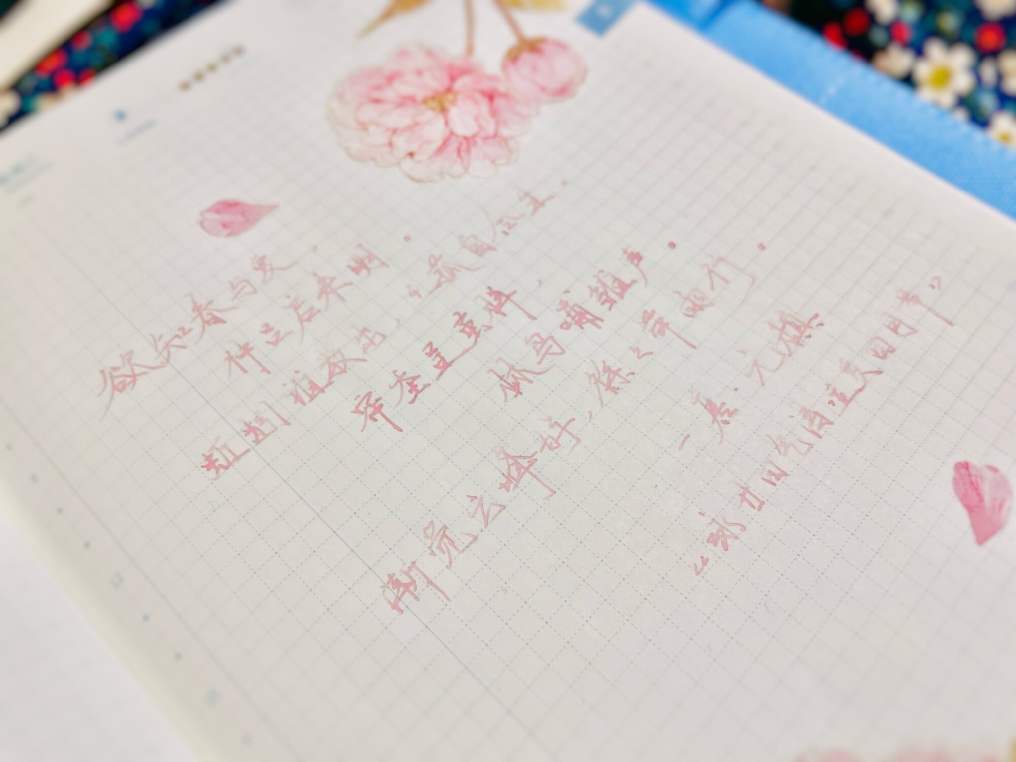 自在手帐2021年5月5日