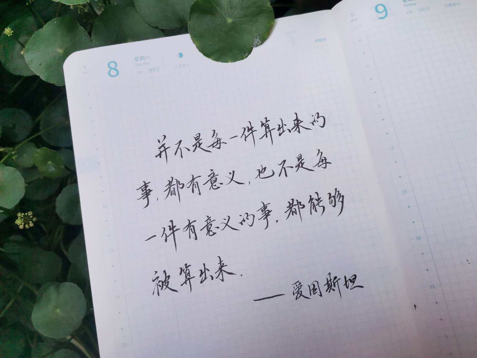 自在手帐2021年5月8日