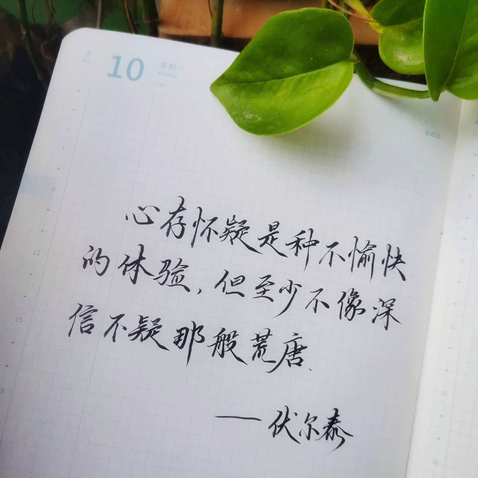 自在手帐2021年5月10日