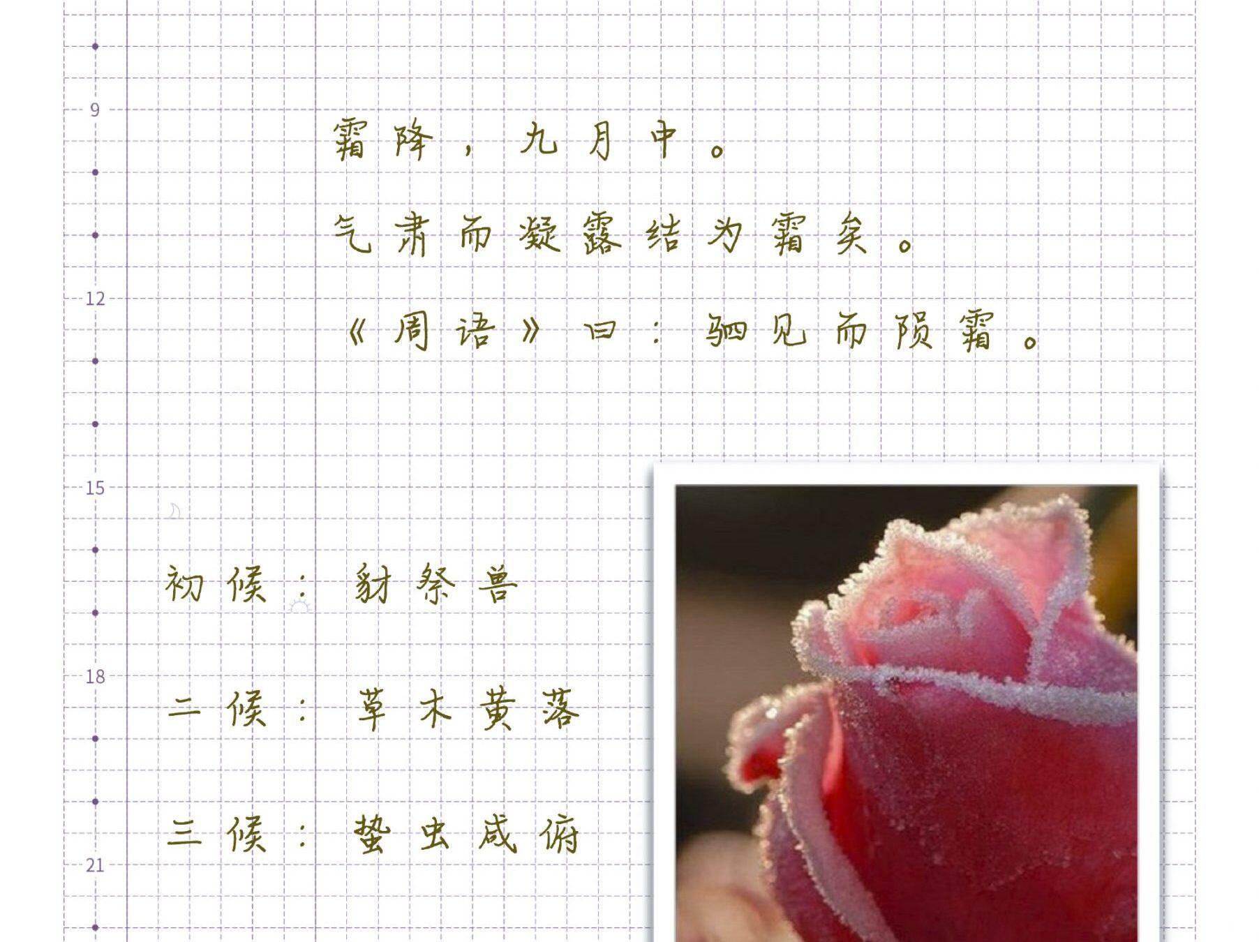 霜降|二十四节气|己亥年