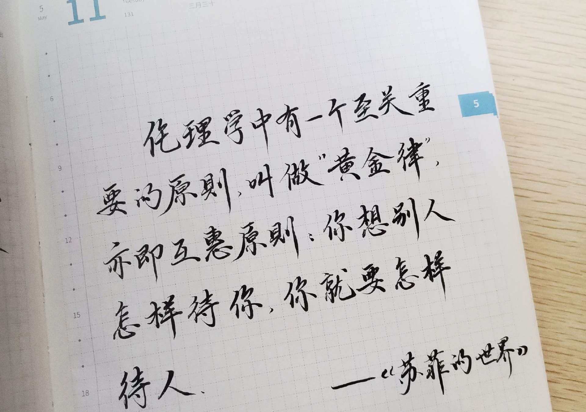 自在手帐2021年5月11日