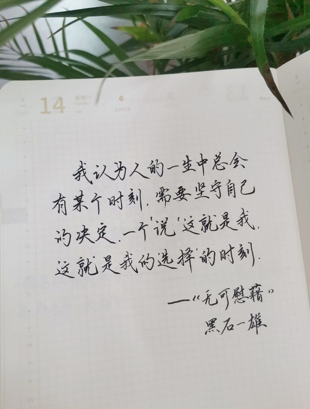 这就是我