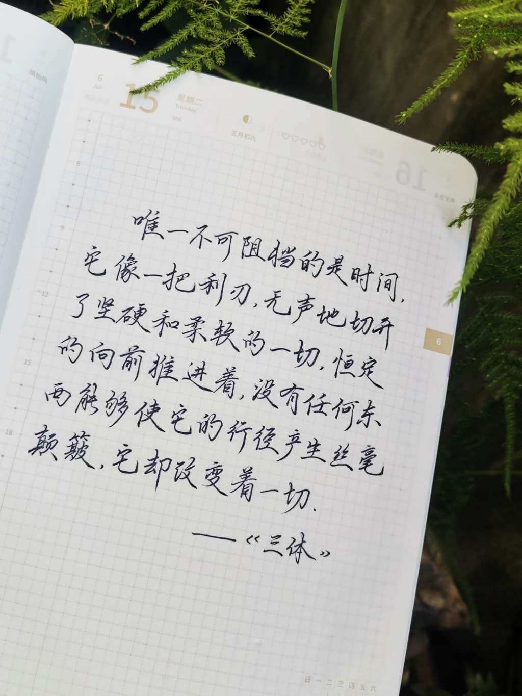 自在手帐2021年6月15日