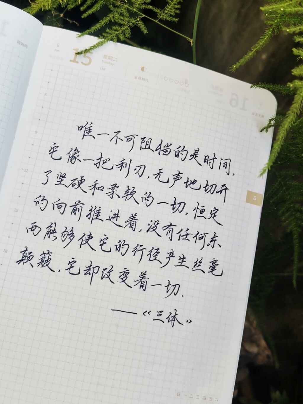 自在手帐2021年6月15日