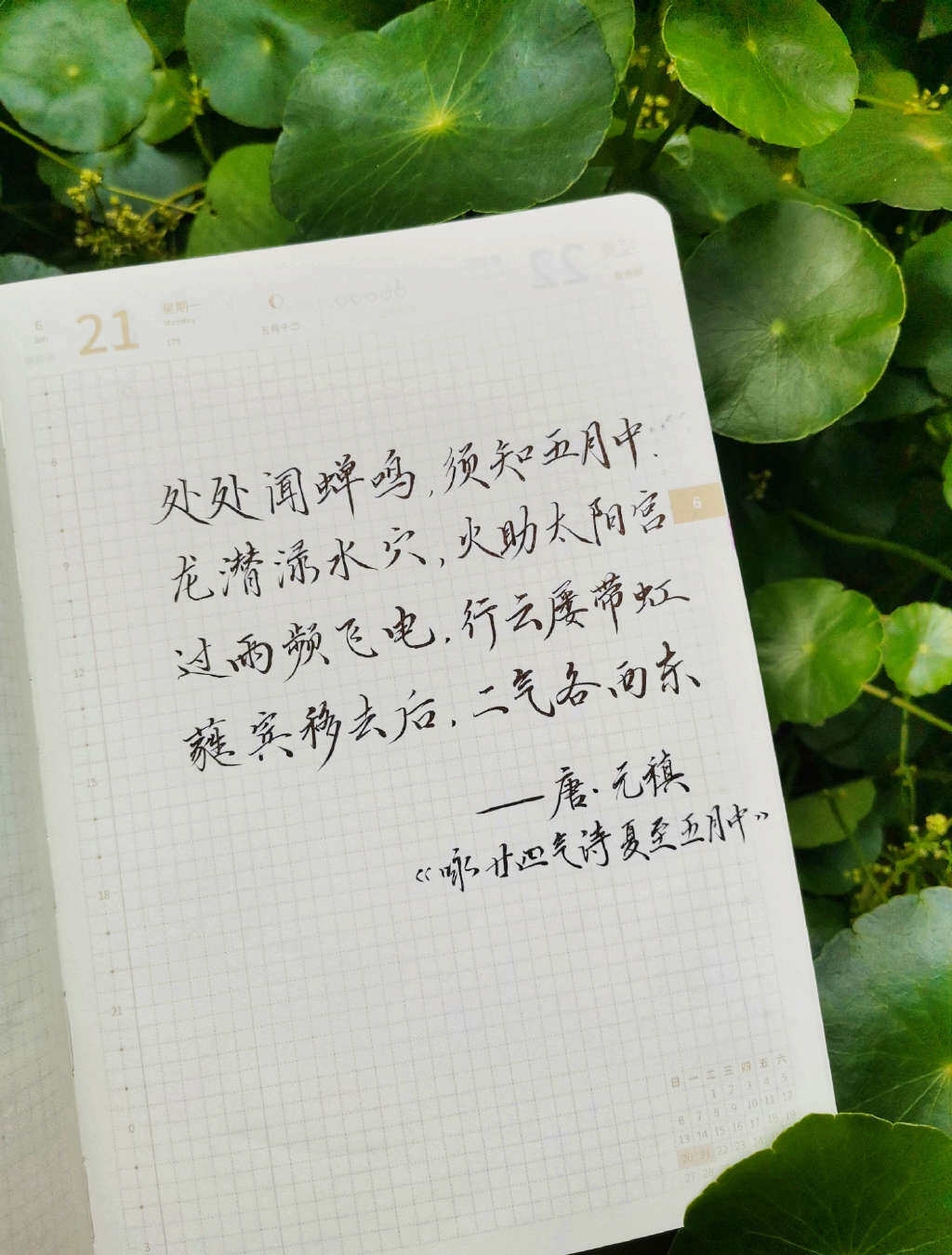 自在手帐2021年6月21日