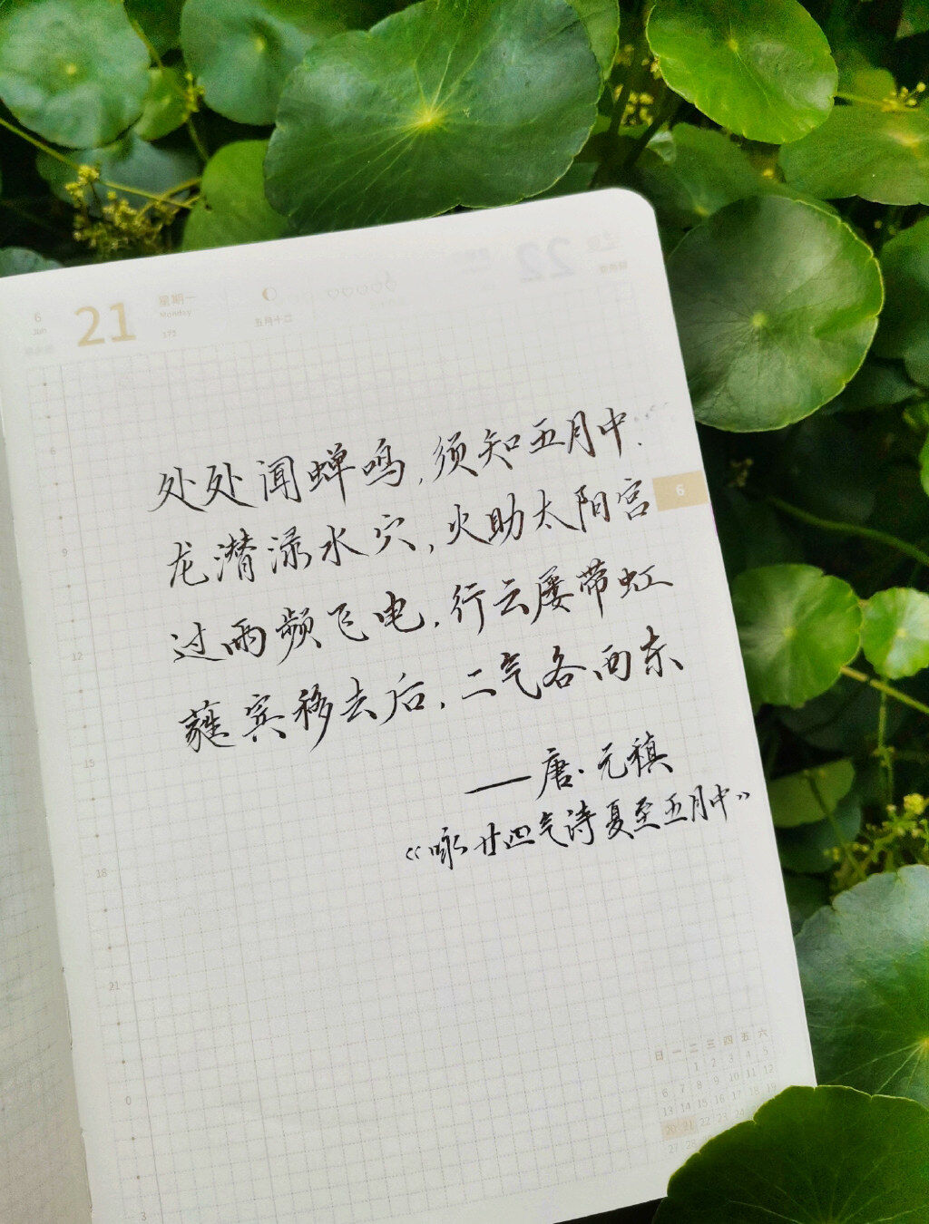 夏至|二十四节气|辛丑年