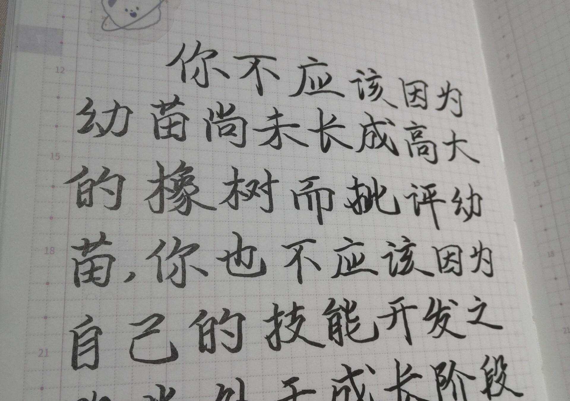 像高手一样行动