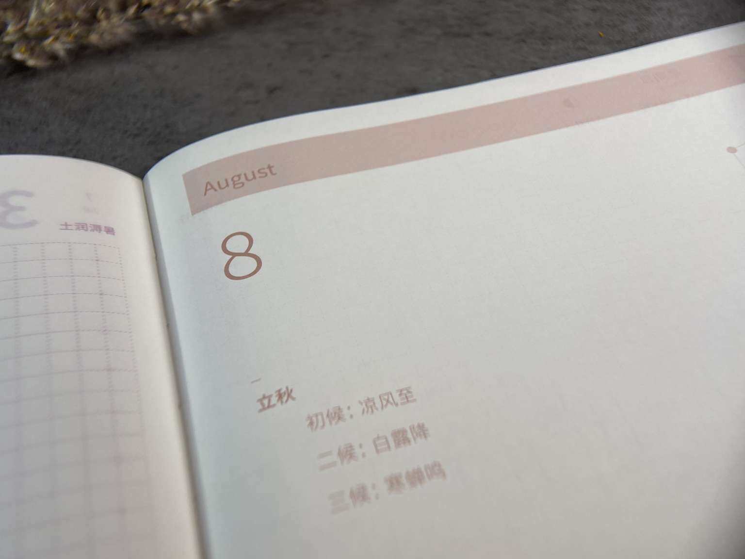 8月