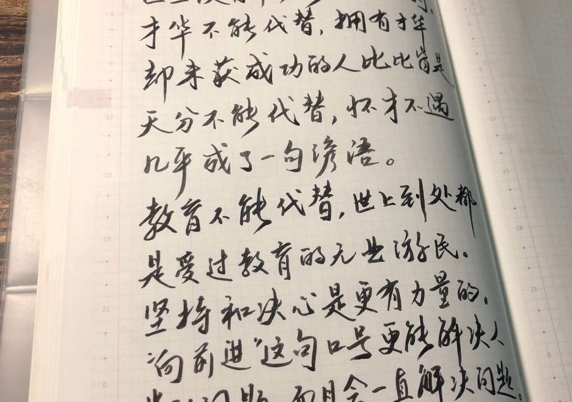 自在手帐2021年7月29日