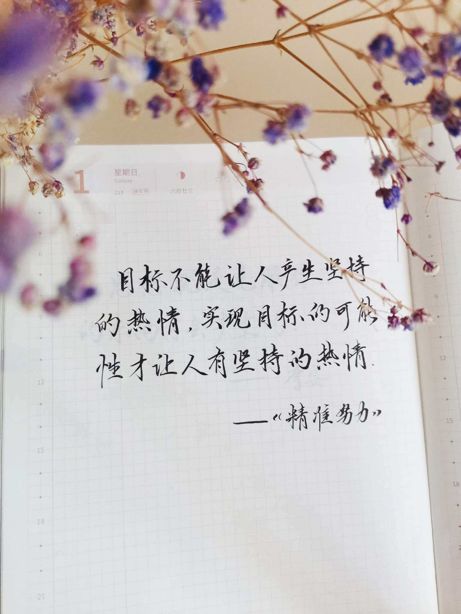 自在手帐2021年8月1日