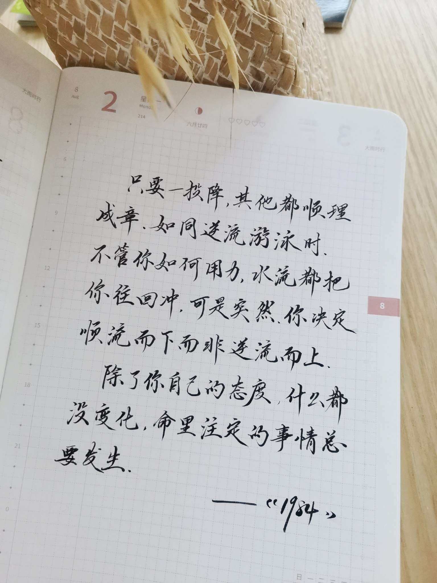 自在手帐2021年8月2日