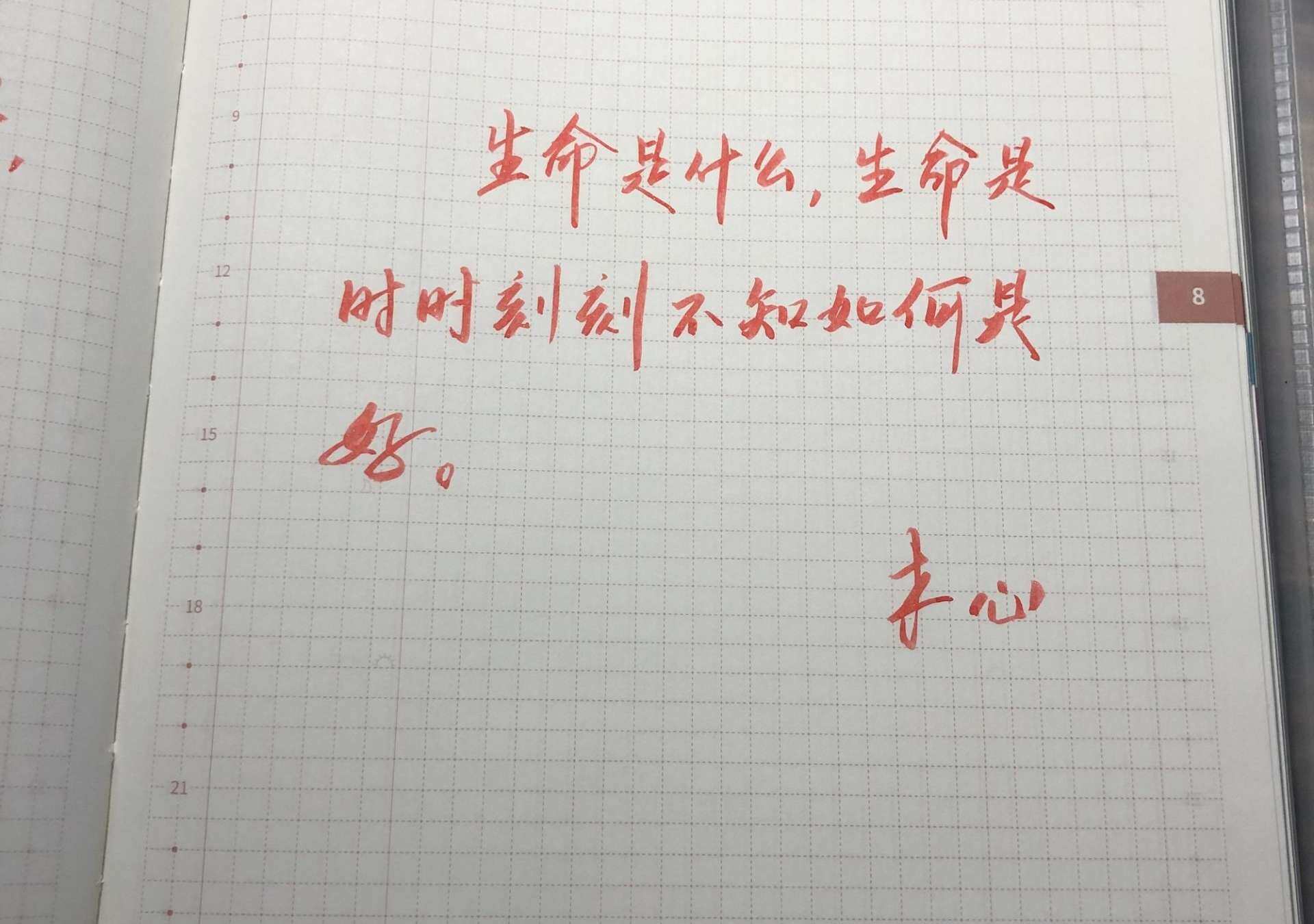 自在手帐2021年8月4日