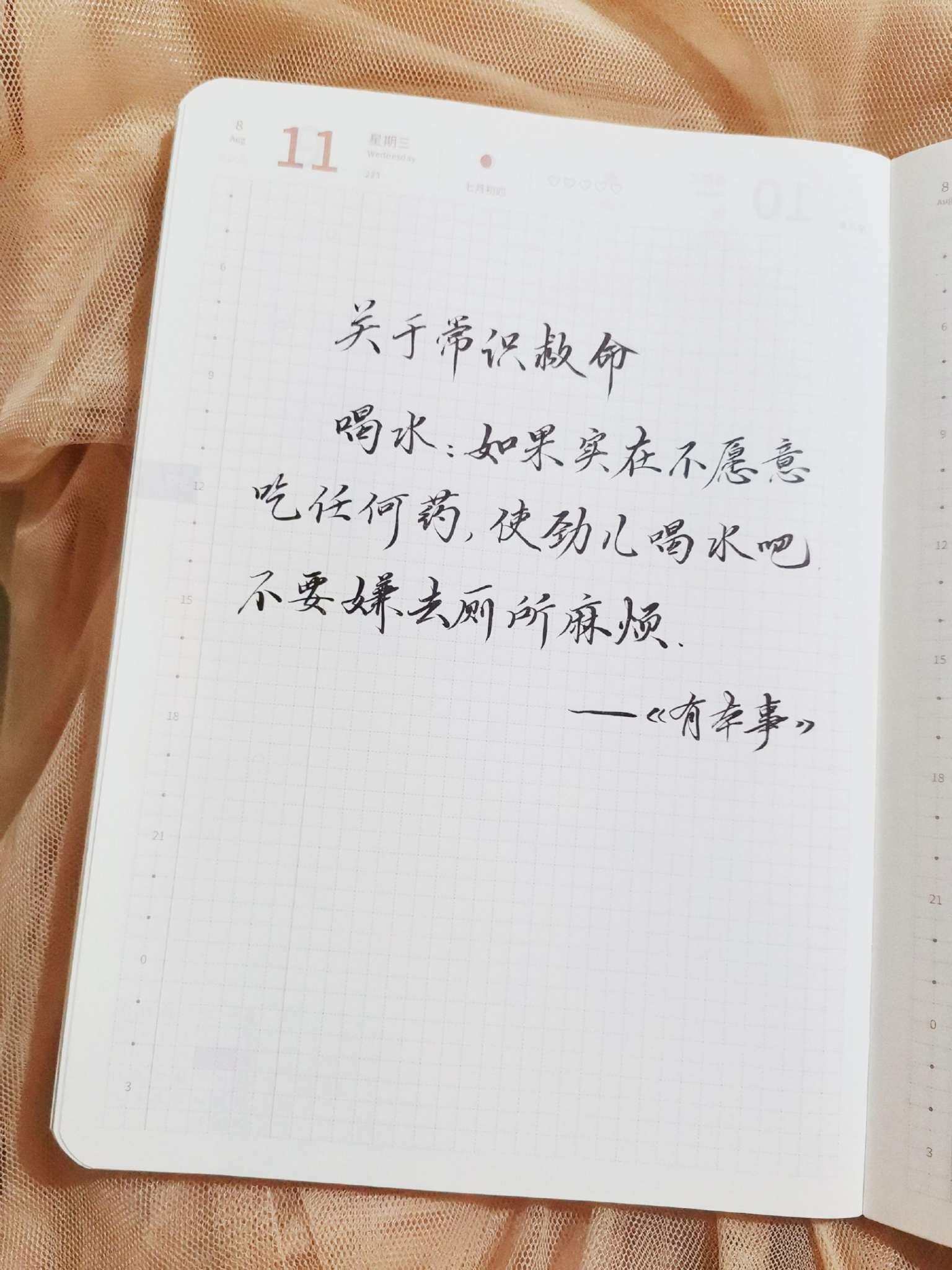 自在手帐2021年8月11日