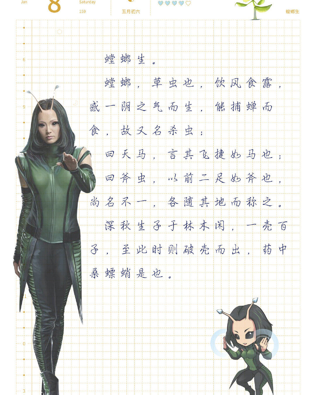 七十二物候之螳螂生