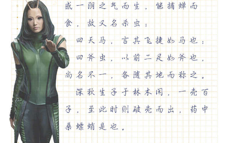 七十二物候之螳螂生