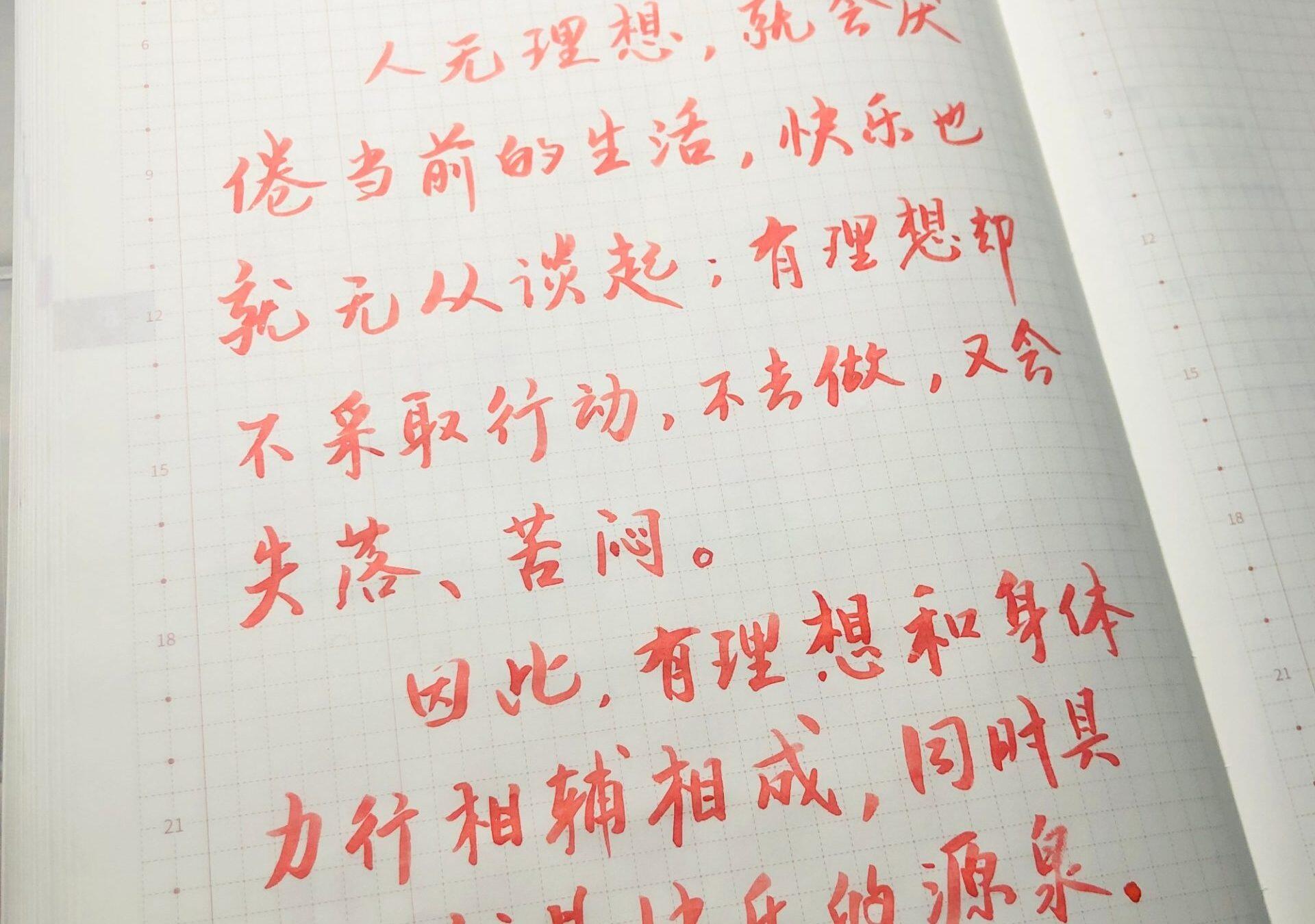 理想与行动并存